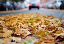 Vlažno lišće na cesti opasno je kao i pravi led