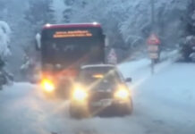 Znate li koliko dugo traju i koliko košta zamjena LED svjetla na automobilima?