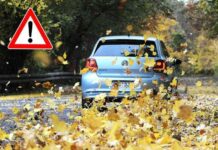Vozači oprez! Jesen, kiša i lišće koje pada opasna su kombinacija na cesti