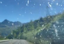 Zalijepljeni insekti na braniku i šoferci? Evo rješenja