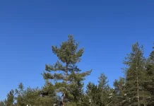 BMW odlučio: Ovi modeli neće dobiti nasljednika